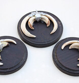 3 x schild tanden EVERZWIJN / WILD ZWIJN