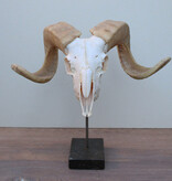 RAM SCHEDEL op hardstenen sokkel