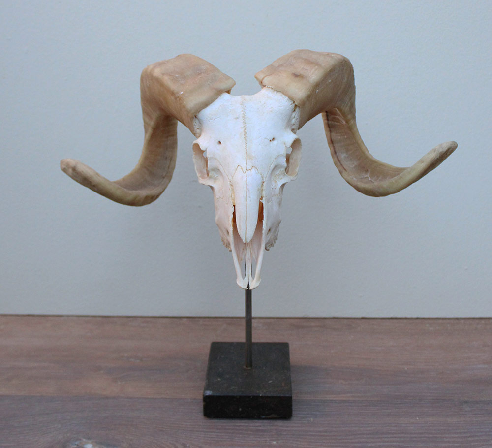 RAM SCHEDEL op hardstenen sokkel