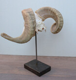 RAM SCHEDEL op hardstenen sokkel