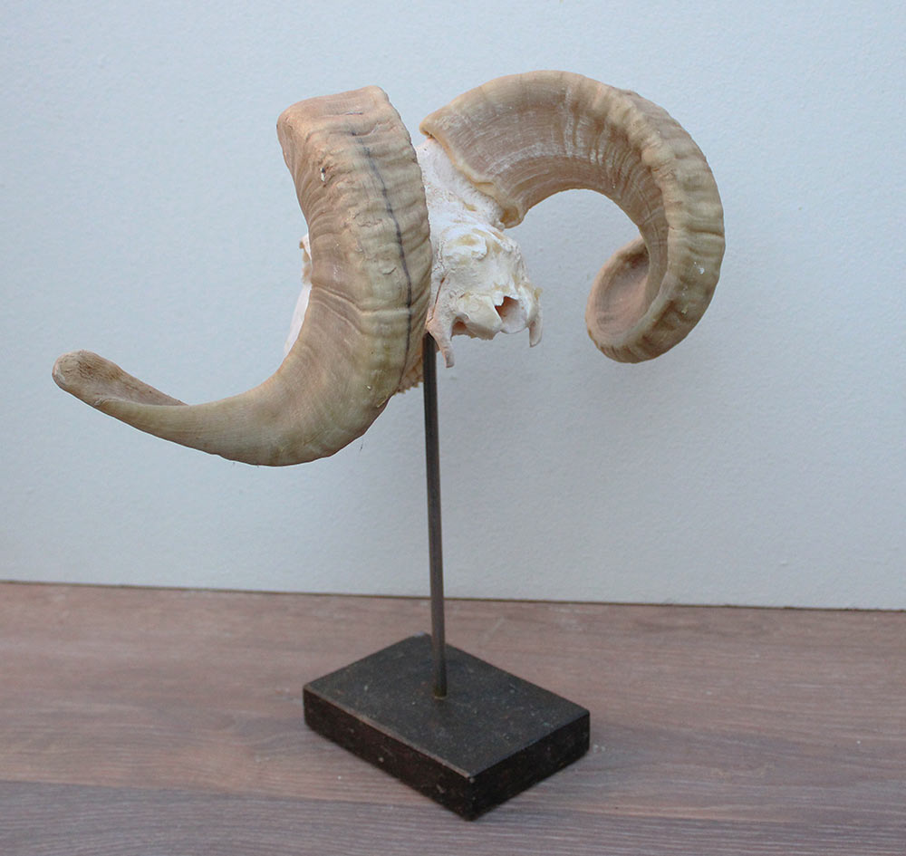 RAM SCHEDEL op hardstenen sokkel