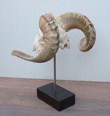 RAM SCHEDEL op houten sokkel