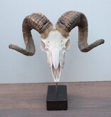 RAM SCHEDEL op houten sokkel