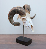 RAM SCHEDEL op houten sokkel