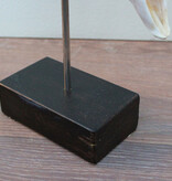 RAM SCHEDEL op houten sokkel