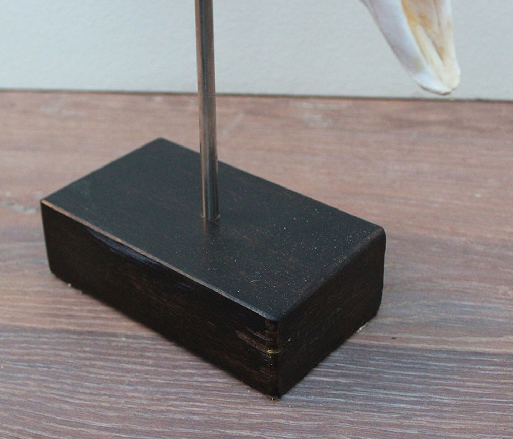 RAM SCHEDEL op houten sokkel