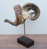 RAM SCHEDEL op houten sokkel