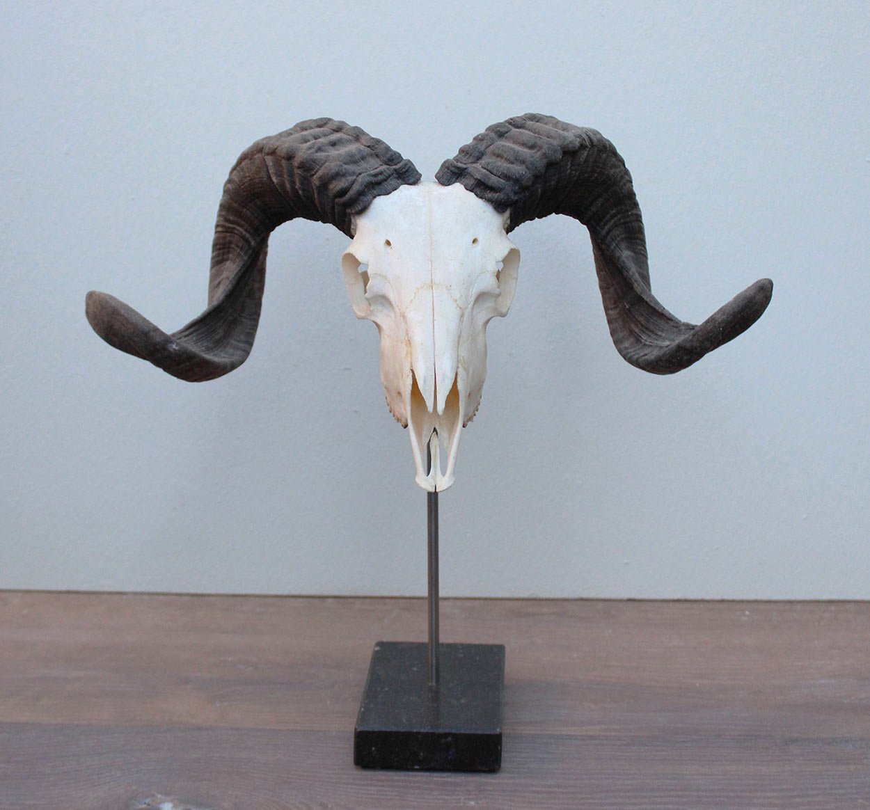 RAM SCHEDEL op hardstenen sokkel