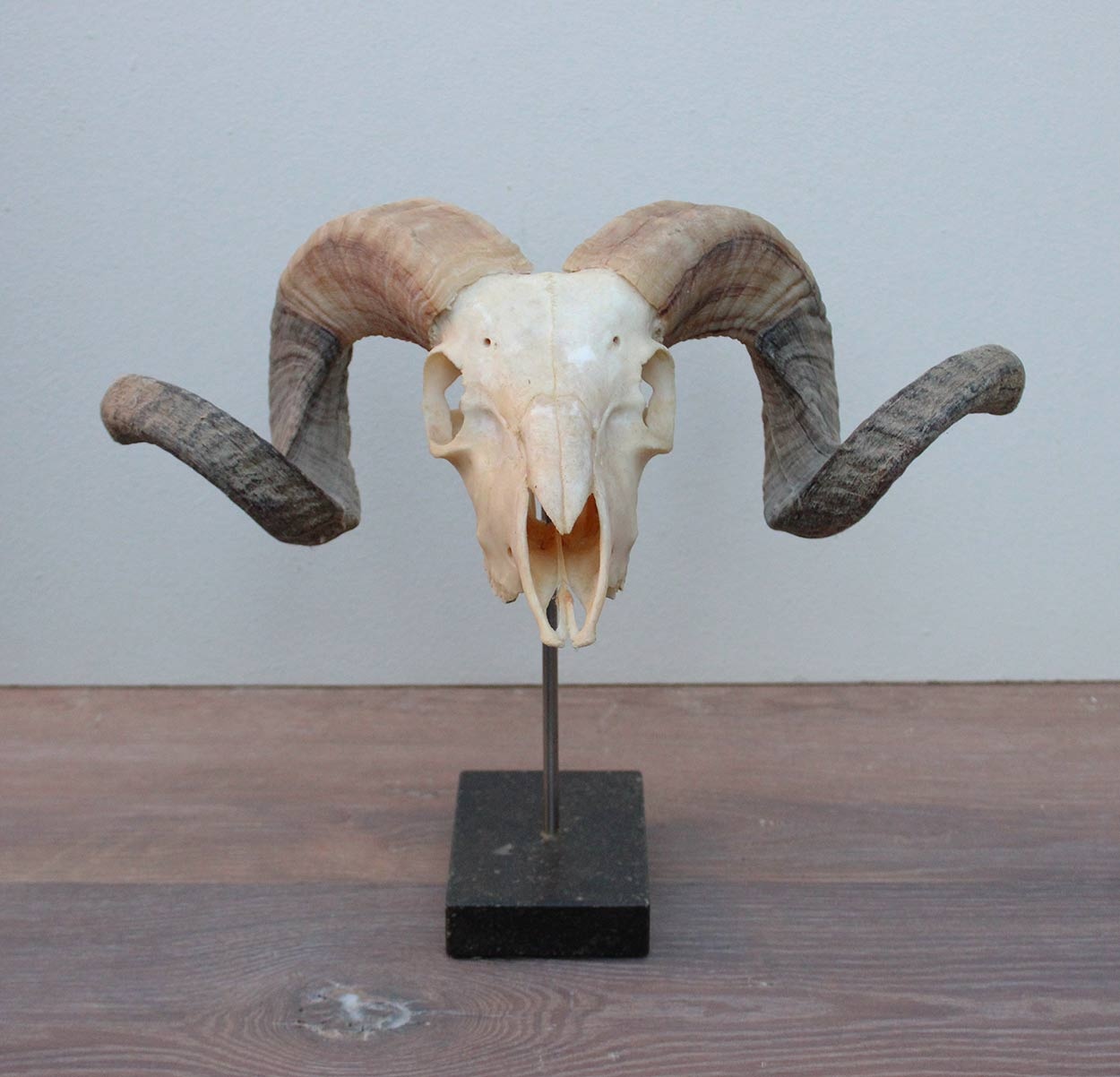 RAM SCHEDEL op hardstenen sokkel