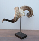 RAM SCHEDEL op hardstenen sokkel