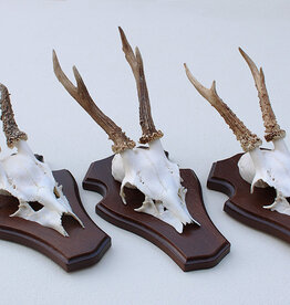 3 x Engels REE GEWEI op houten schild -  set P