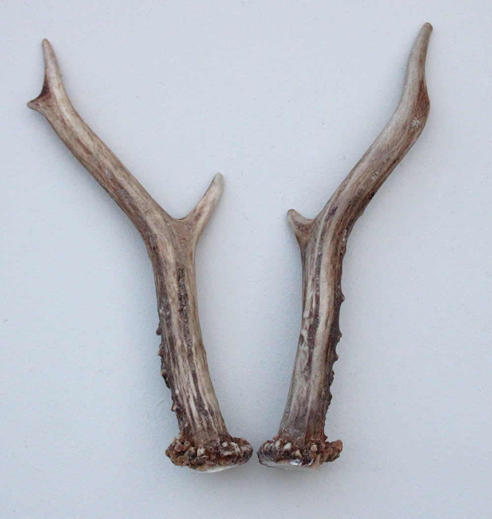 REE GEWEI PAAR 19 cm