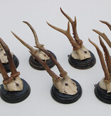 7 x antiek REE GEWEI  op zwart houten schild  - 1908