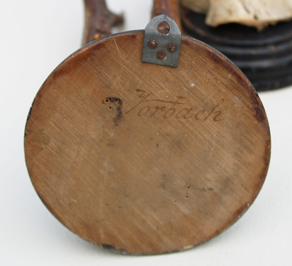 7 x antiek REE GEWEI  op zwart houten schild  - 1908