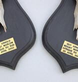 2 x schedel MOUNTAIN REEDBUCK op eiken schild