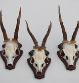 3 x  REE GEWEI op houten schild -  set O