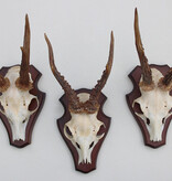 3 x  REE GEWEI op houten schild -  set O