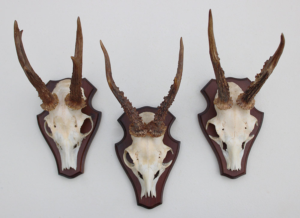 3 x  REE GEWEI op houten schild -  set O