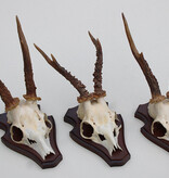 3 x  REE GEWEI op houten schild -  set O