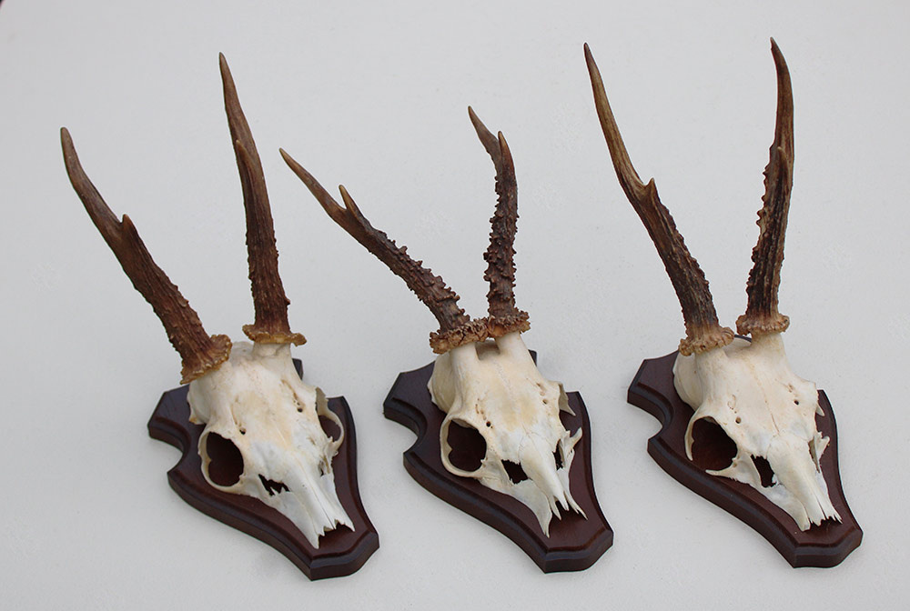 3 x  REE GEWEI op houten schild -  set O