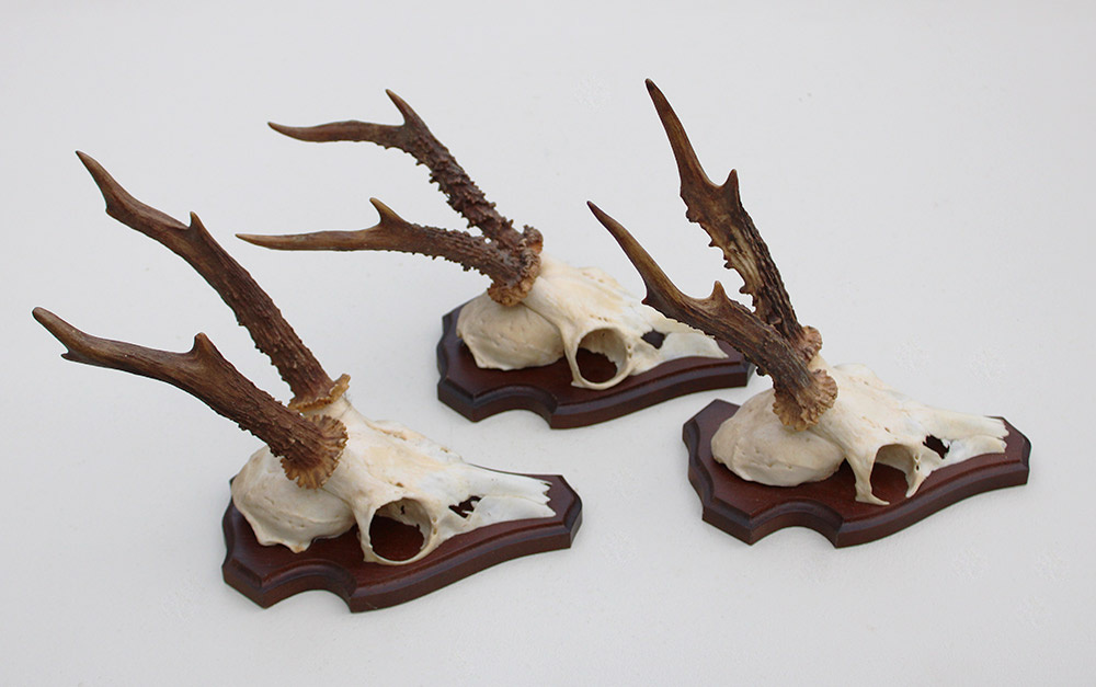 3 x  REE GEWEI op houten schild -  set O