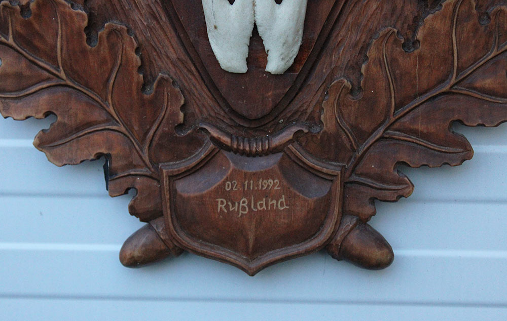 Groot Siberisch ELAND GEWEI op houten schild ("MOOSE")