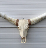 Mega grote schedel TEXAS STYLE LONGHORN 217 cm