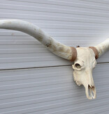Mega grote schedel TEXAS STYLE LONGHORN 217 cm