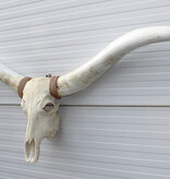 Mega grote schedel TEXAS STYLE LONGHORN 217 cm