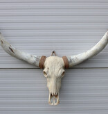 Grote schedel TEXAS STYLE LONGHORN 135 cm