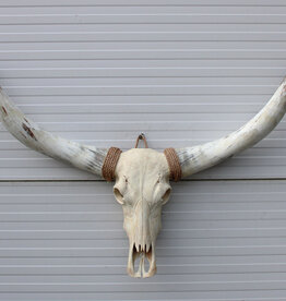 Grote schedel TEXAS STYLE LONGHORN 135 cm - ref. B