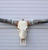 Grote schedel TEXAS STYLE LONGHORN 154 cm