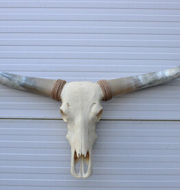Grote schedel TEXAS STYLE LONGHORN 143 cm - ref. D