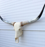 Grote schedel TEXAS STYLE LONGHORN 143 cm