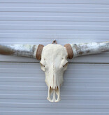Grote schedel TEXAS STYLE LONGHORN 149 cm
