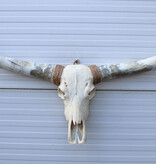 Grote schedel TEXAS STYLE LONGHORN 148 cm