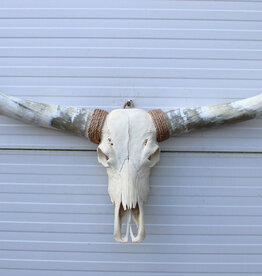 Grote schedel TEXAS STYLE LONGHORN 148 cm - ref. F
