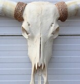 Grote schedel TEXAS STYLE LONGHORN 154 cm