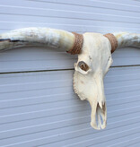 Grote schedel TEXAS STYLE LONGHORN 154 cm