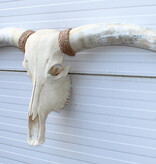 Grote schedel TEXAS STYLE LONGHORN 154 cm