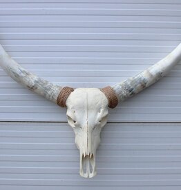 Grote schedel TEXAS STYLE LONGHORN 120 cm - ref. H