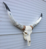 Grote schedel TEXAS STYLE LONGHORN 120 cm