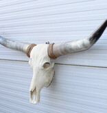 Grote schedel TEXAS STYLE LONGHORN 146 cm