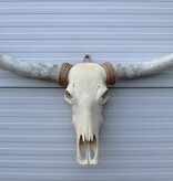 Grote schedel TEXAS STYLE LONGHORN 144 cm