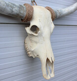 Grote schedel TEXAS STYLE LONGHORN 144 cm