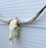 Grote schedel TEXAS STYLE LONGHORN 144 cm