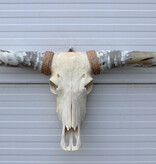 Grote schedel TEXAS STYLE LONGHORN 160 cm