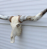 Grote schedel TEXAS STYLE LONGHORN 160 cm