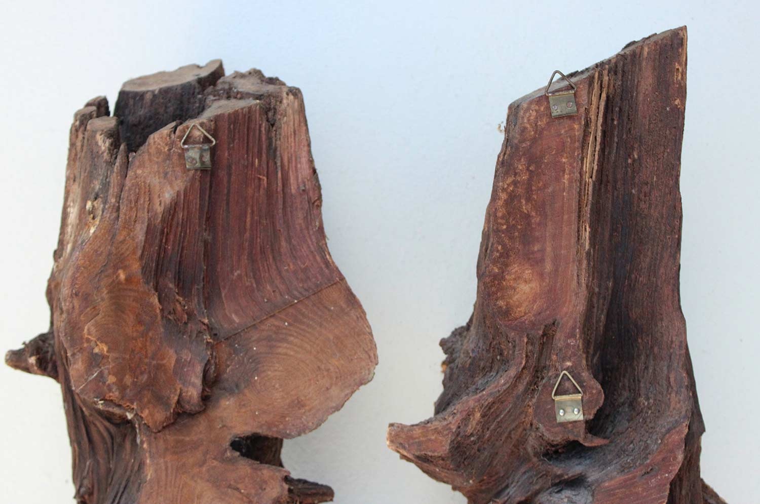 Decoratief HOUTSNIJWERK in boomstronk - gezichten M/V