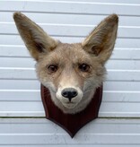 Opgezette KOP VOS op houten schild